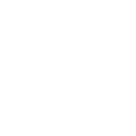 Logo Apango Tierra de Caballos